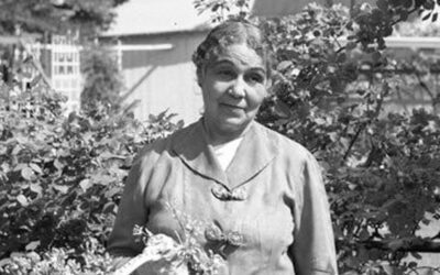 Harlem Renaissance Poet, Anne Spencer (1882-1975)
